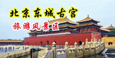 白虎女孩下体出白浆儿中国北京-东城古宫旅游风景区